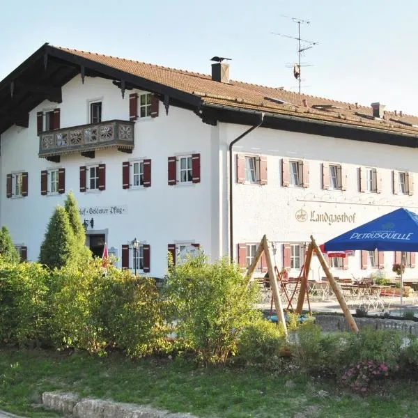 金犁乡村酒店，位于Rottau的酒店