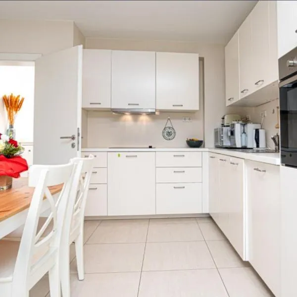 Elegant Spacious Room with Open Kitchen, Steps from Luxembourg Train Station，位于Niederanven的酒店