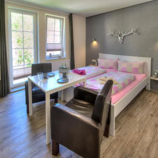Auszeit-im-Harz Haus 2 Wohnung 4，位于施尔奇的酒店