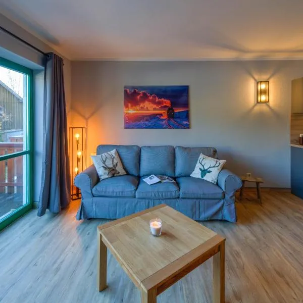 Auszeit-im-Harz Haus 5 Wohnung 23，位于Stiege的酒店