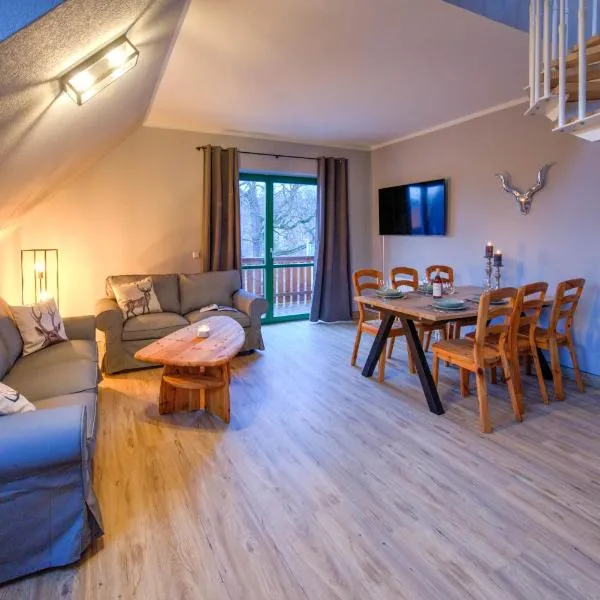 Auszeit-im-Harz Haus 5 Wohnung 31，位于Stiege的酒店