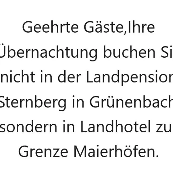 Landpension Sternberg，位于Grünenbach的酒店