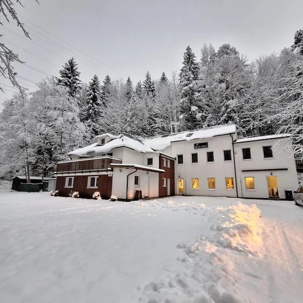 Penzión MALINO，位于Ružomberok的酒店