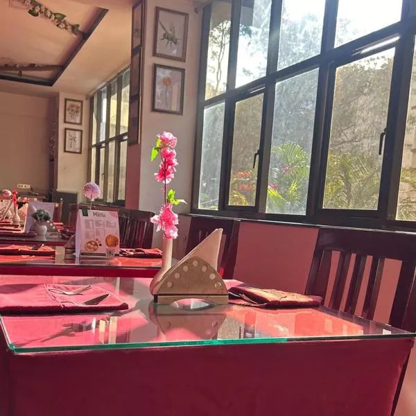 Twin Spring，位于甘托克的酒店
