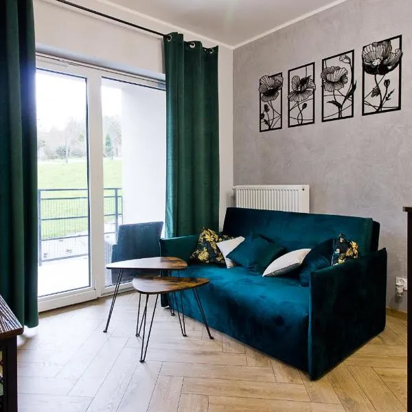 Apartament Tatarska Przemyśl，位于普热梅希尔的酒店