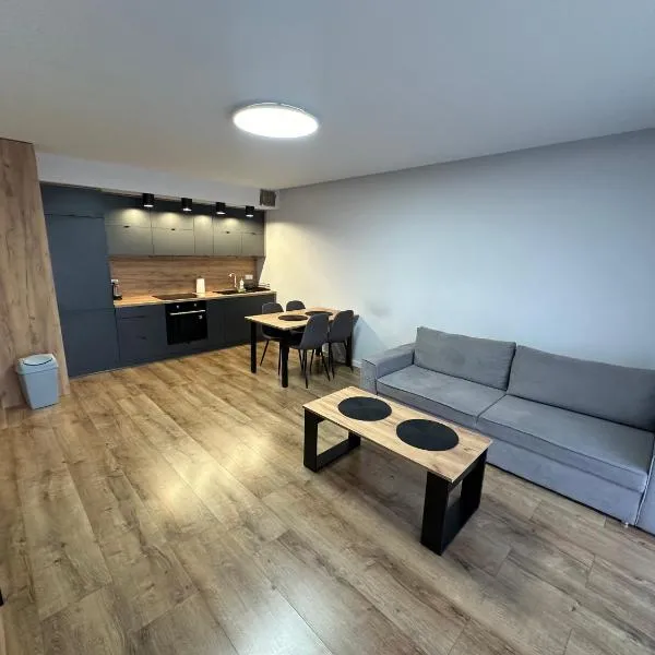 Apartament Osiedle Legionów 2，位于凯尔采的酒店