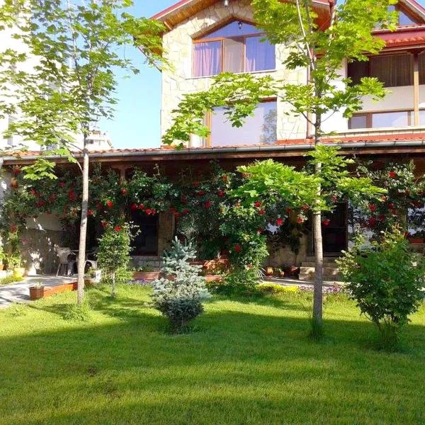 托多罗维奇盖斯特豪斯旅馆，位于斯塔佐扎格斯基巴尼的酒店