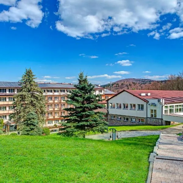 KZZG w Polsce, Górnicze Sanatorium Związkowe "GÓRNIK"，位于伊沃尼奇-兹德鲁伊的酒店