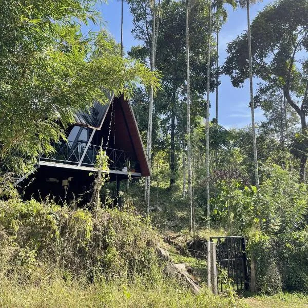 Wetlands Wayanad Resort with Natural Waterfalls，位于塔里约德的酒店