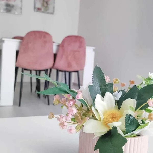 DiP HOME APARTMENTS，位于帕莫瑞的酒店