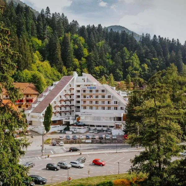 Hotel Tusnad，位于Micfalău的酒店