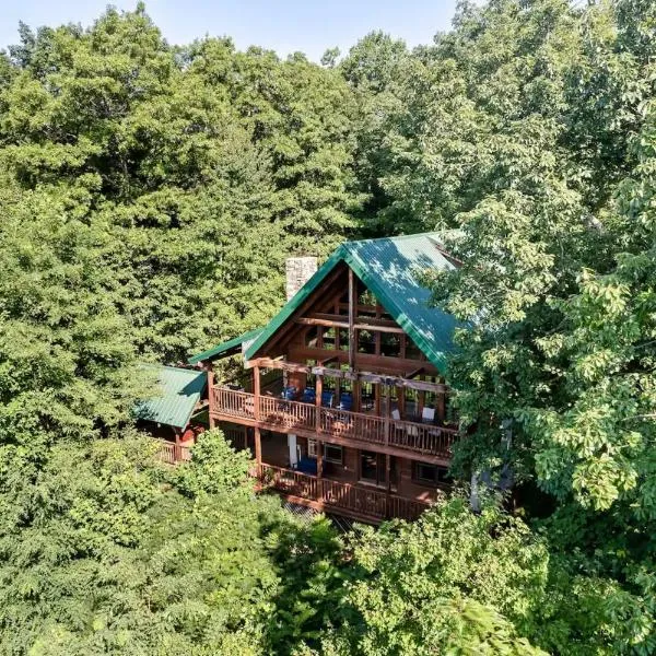 Secluded 3br Mountain View Cabin Hot Tub Pool，位于赛维尔维尔的酒店