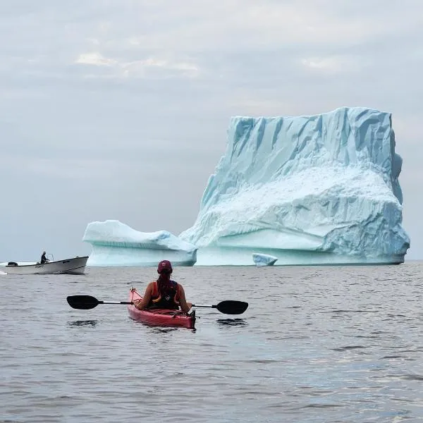 Seaclusion Twillingate，位于Herring Neck的酒店