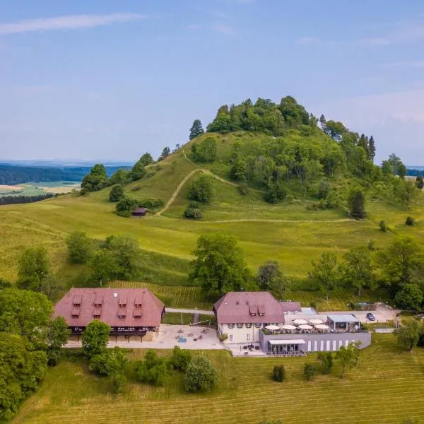 豪亨卡普芬豪弗加特酒店，位于Seitingen-Oberflacht的酒店