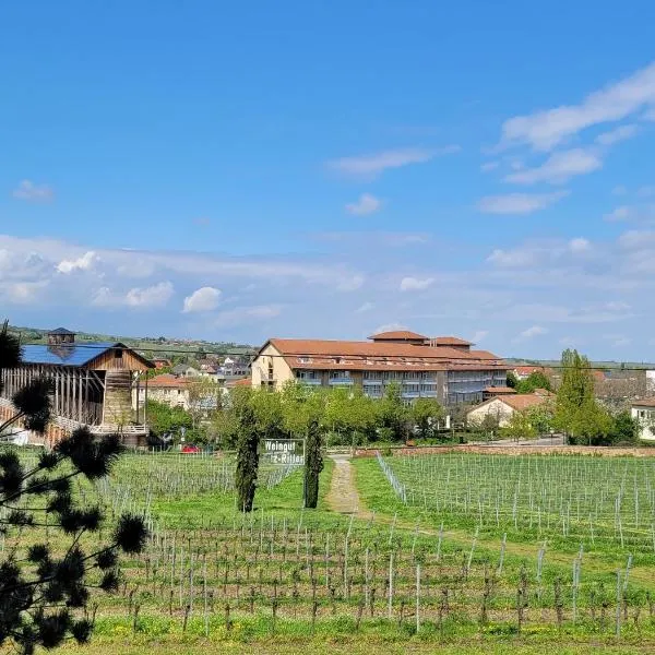 Ihr Bett mit Blick auf die Weinberge，位于巴特迪克海姆的酒店