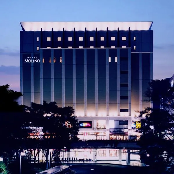 莫利诺新百合丘酒店，位于川崎的酒店