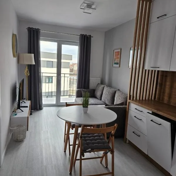 Apartament - Osiedle Przylesie，位于Pokój的酒店