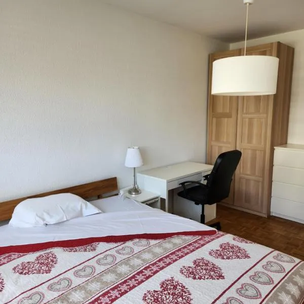 Room in Shared Apartment Geneva，位于Crans的酒店