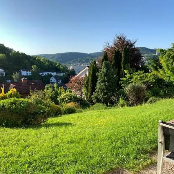 Appartement Abendsonne，位于富尔达河畔罗滕堡的酒店