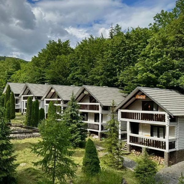 База відпочинку Forest Stream，位于喀尔巴阡的酒店