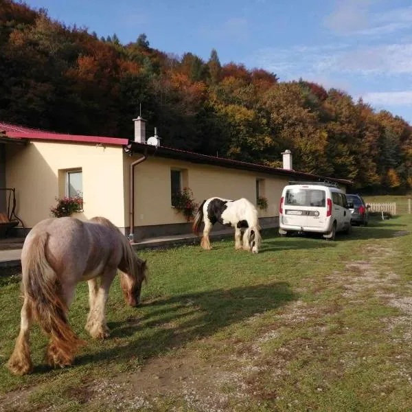 Oddychový pobyt na rodinnej farme，位于Kelča的酒店