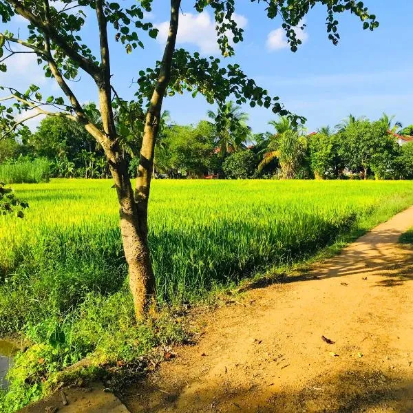 Rivonway Hotel Polonnaruwa，位于明内里耶的酒店