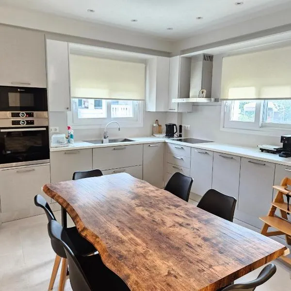 NAVSIKA LUXURY APARTMENT，位于阿普索斯的酒店