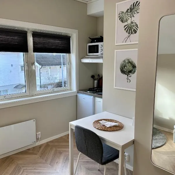 Modern Central Apartment Apt 203 Studio，位于斯塔万格的酒店