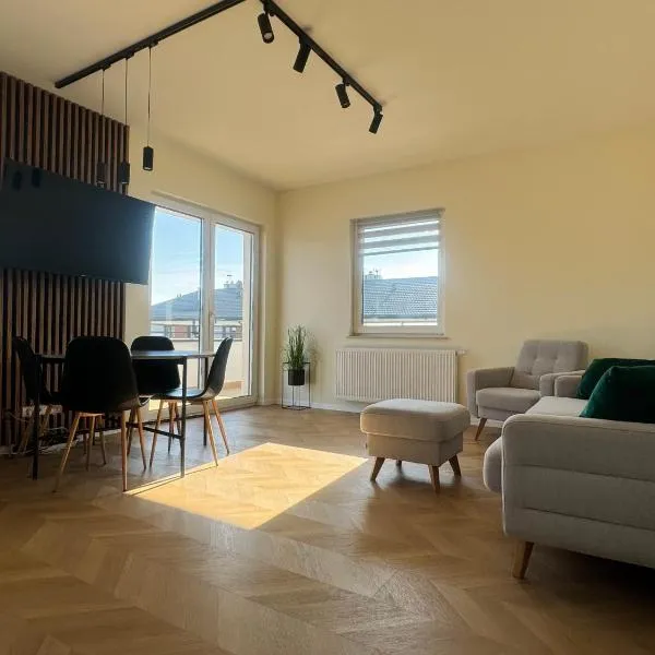 Stylish 3 bedroom apartment with balcony，位于普沃茨克的酒店