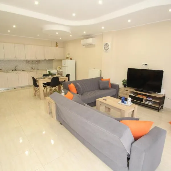 Filoxenia apartment，位于阿特米达的酒店