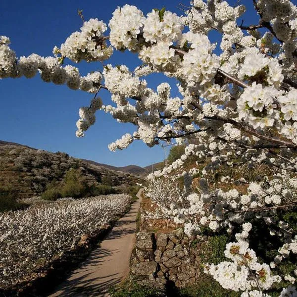 CASA RURAL ARBEQUINA, Primavera en el Valle del Ambroz，位于Jarilla的酒店