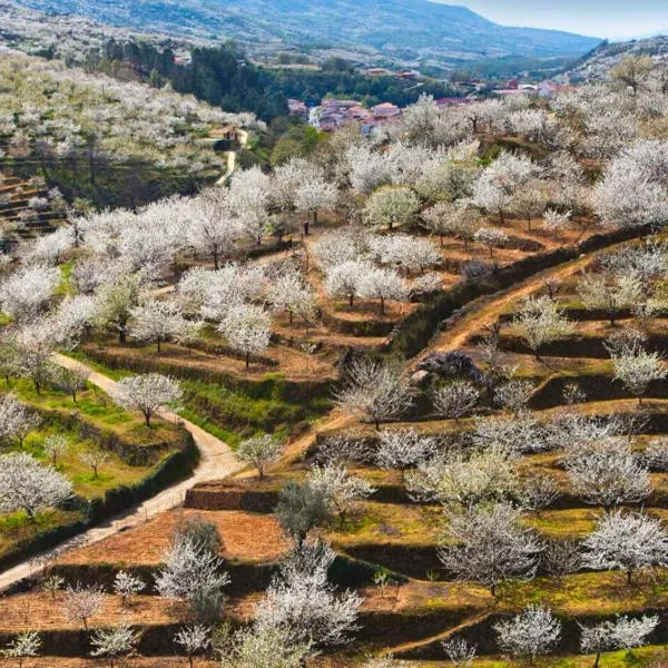 Casas Rurales Acebuche, Primavera en el Valle del Ambroz，位于Jarilla的酒店