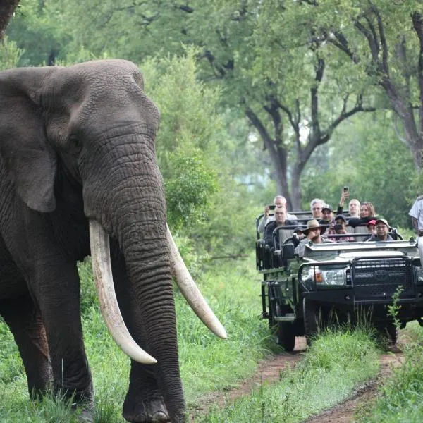 Karongwe Portfolio - Becks Safari Lodge，位于侯斯普瑞特的酒店
