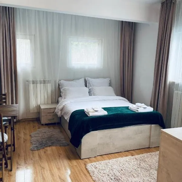 Studio Poema Ultracentral Sinaia，位于锡纳亚的酒店