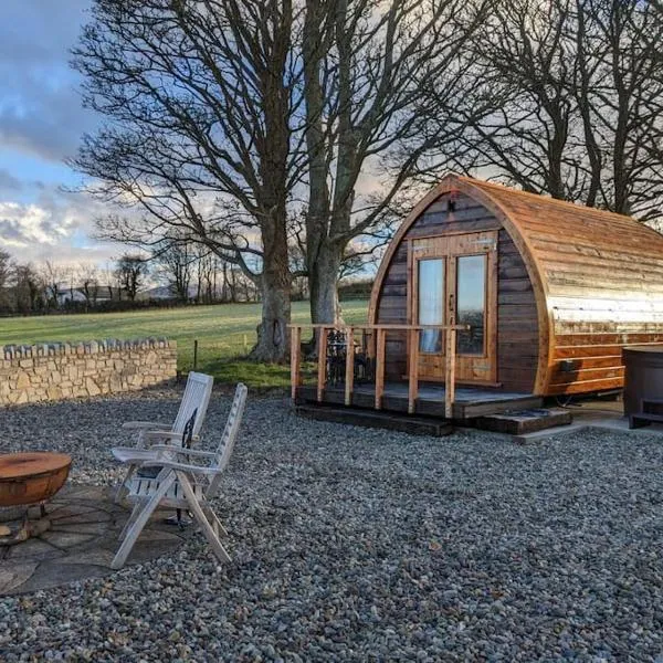 The Pod Fabulous glamping pod near Snowdonia.，位于Dolbenmaen的酒店