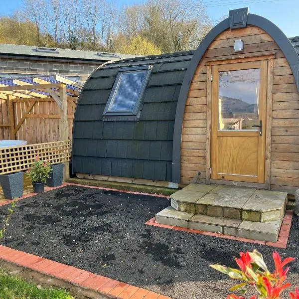 Squirrel Glamping Pod School House Farm，位于Leighton的酒店