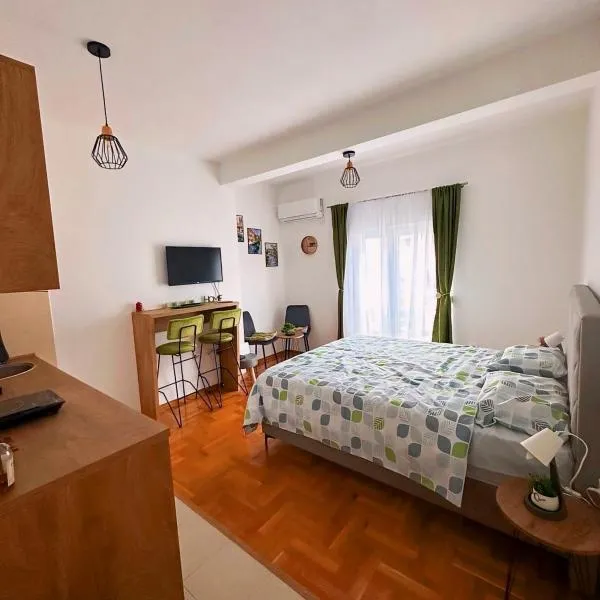 Astra Apartman Nikšić，位于尼克希奇的酒店