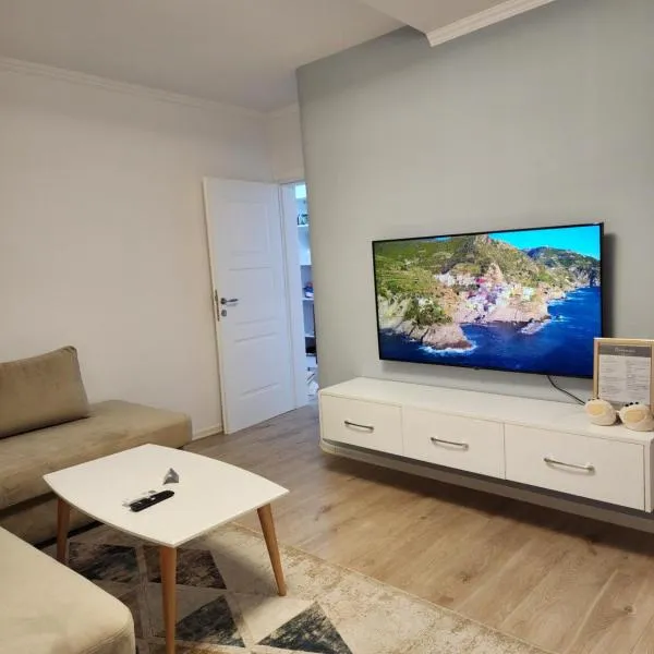 Comfy Elbasan Apartment，位于爱尔巴桑的酒店