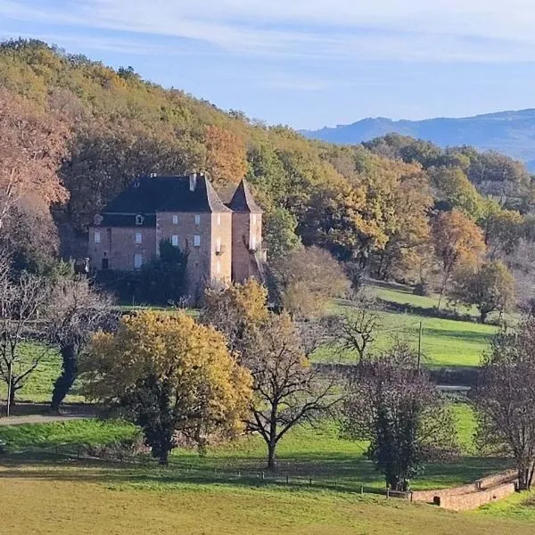 Manoir du Boscau, Louis IX，位于多尔多尼河畔博利厄的酒店