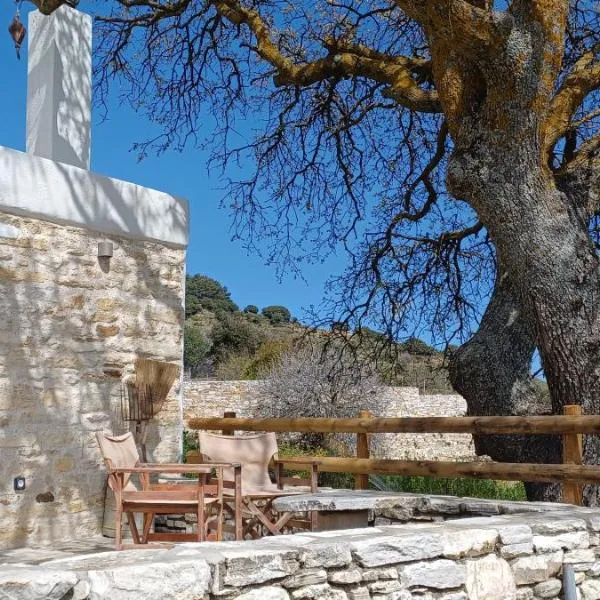 Hatzanario Apeiranthos，位于Apeiranthos的酒店