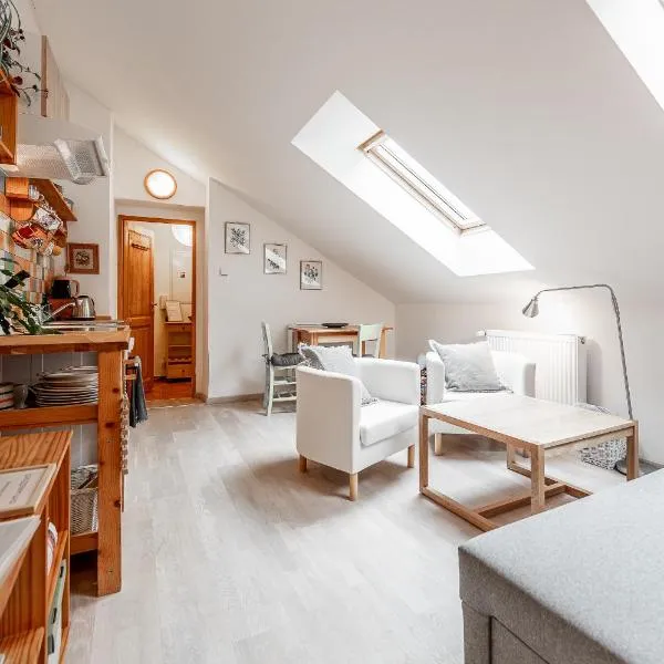 2 room flat Hlavná Košice with parking，位于科希策的酒店