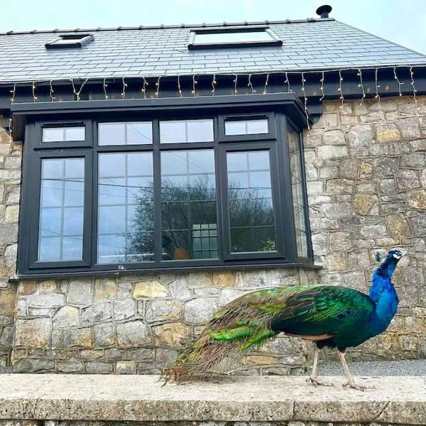 Peacock cottage，位于Ewenny的酒店