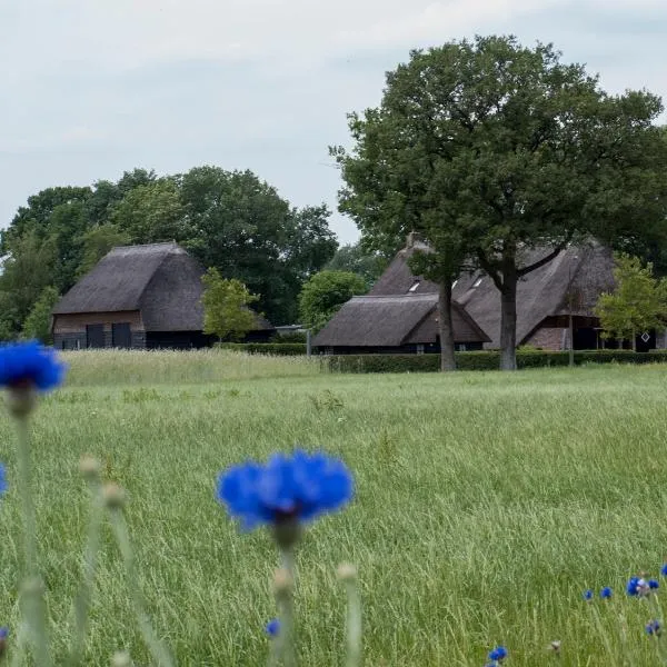 Gastenverblijf Lheederhof，位于IJhorst的酒店