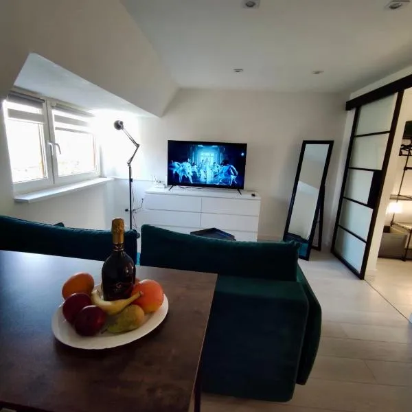 Apartament Michałowskiego w pobliżu Radiostacji，位于格利维采的酒店
