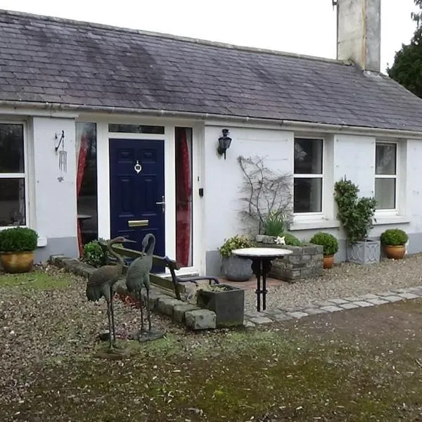 The Weaver's Cottage，位于Coalisland的酒店
