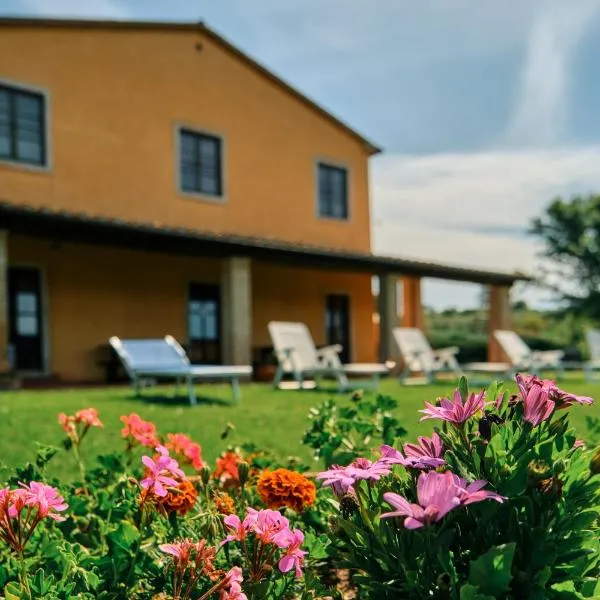 8380 Agriturismo il Saragiolo，位于曼恰诺的酒店