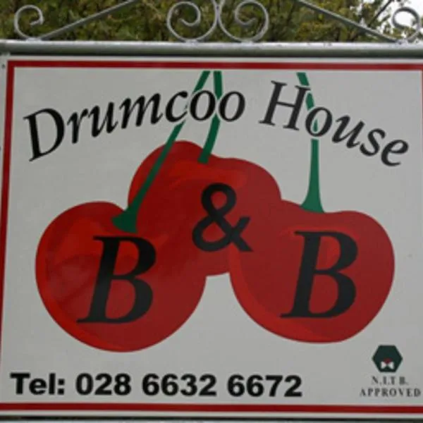 Drumcoo Guest House，位于Ballycassidy的酒店