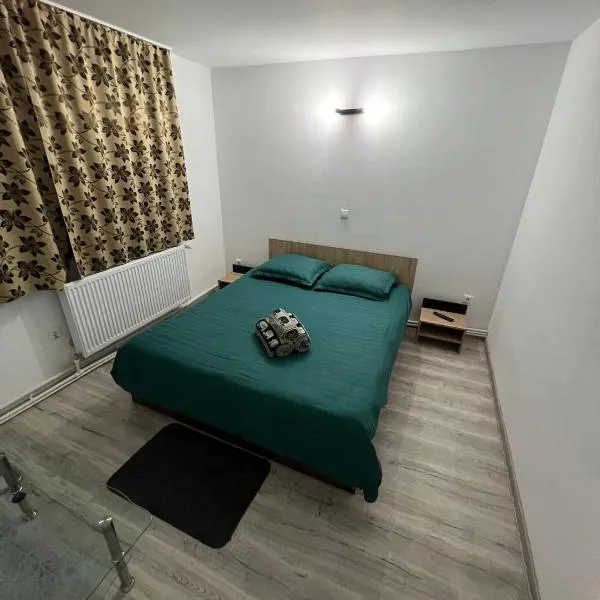 Garsoniera Casa Dragoeni, Targu Jiu，位于塔古玖的酒店