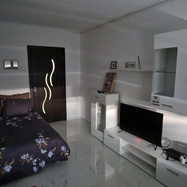 SylvanoStudioCenter，位于普洛耶什蒂的酒店