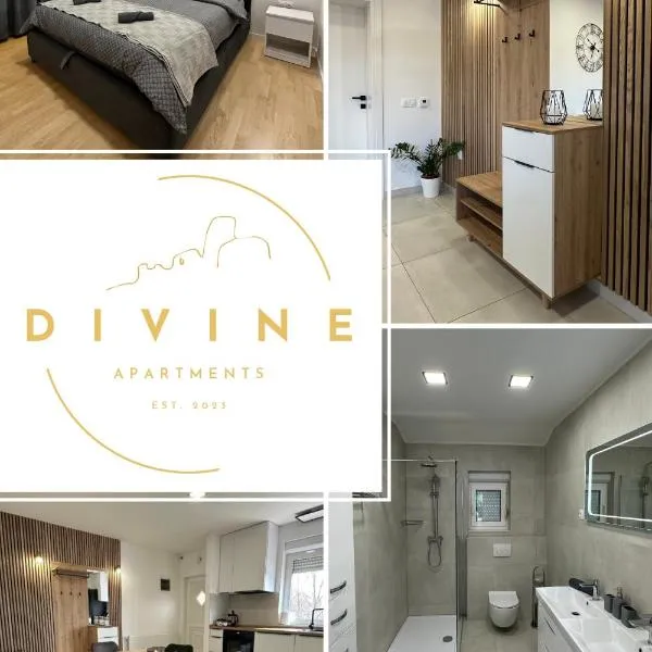 Divine Apartment Drnis，位于Riđane的酒店